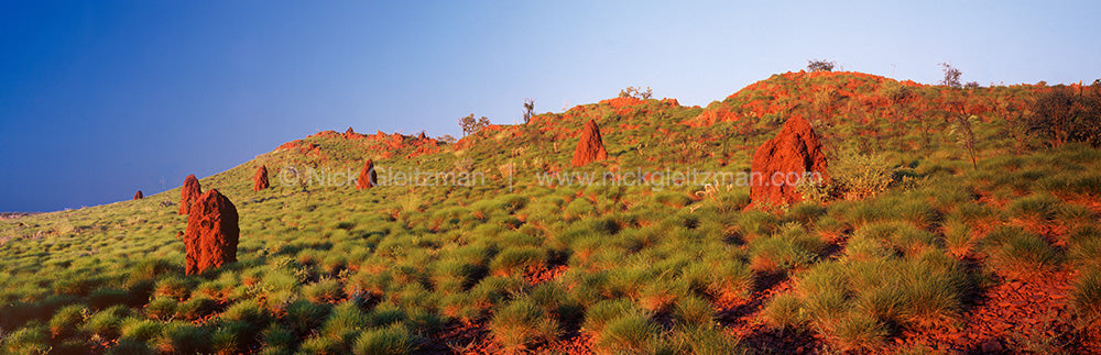 020420-458 <i>Termite Mounds, WA</i>
