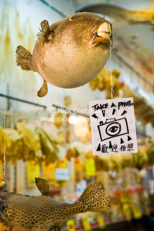 090628-3339 <i>Tai O</i>
