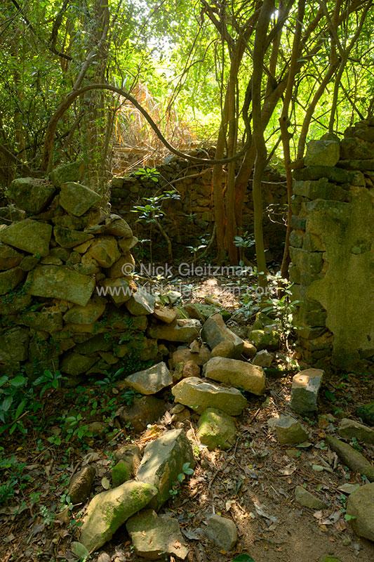 120720-0910-13 <i>Tap Mun</i>