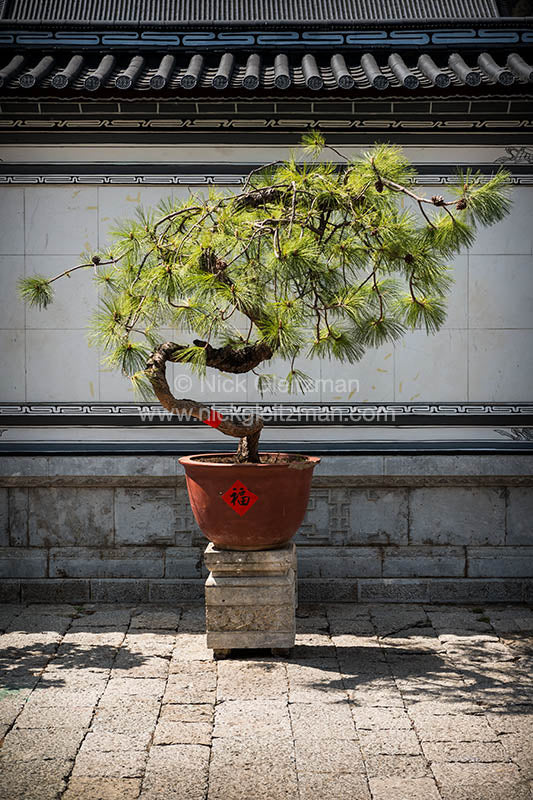 130316-6546 <i>Dayan Old Town</i>