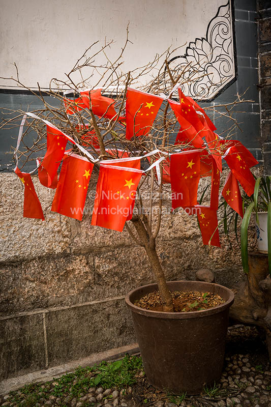 130316-6580 <i>Dayan Old Town</i>