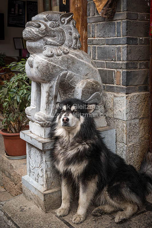 130318-6719 <i>Dayan Old Town</i>