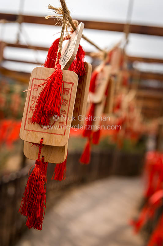 130322-7234 <i>Xianggeli Xionggu</i>