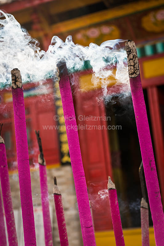 130322-7236 <i>Xianggeli Xionggu</i>