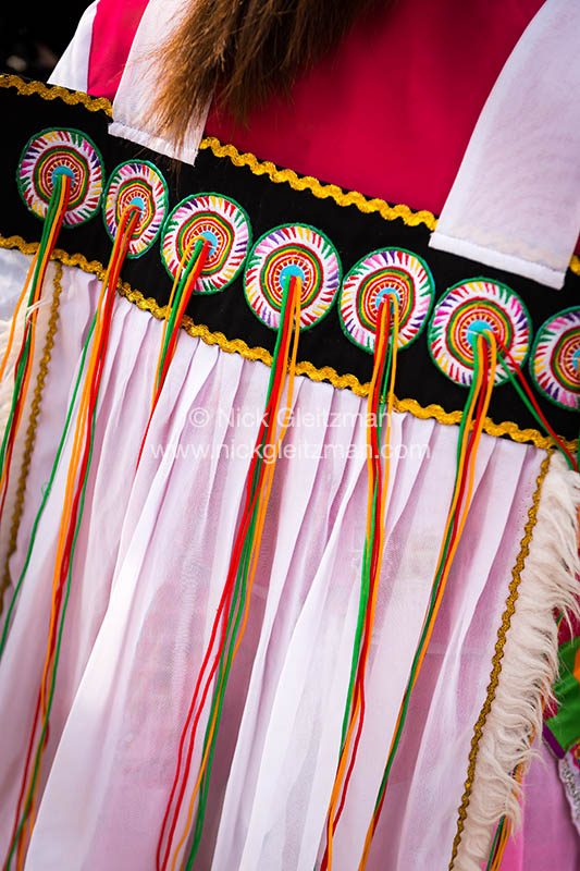 130322-7241 <i>Xianggeli Xionggu</i>