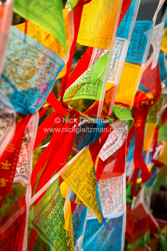 130322-7247 <i>Xianggeli Xionggu</i>