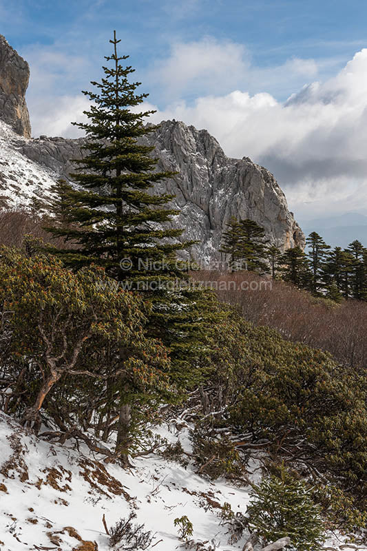 130323-7550 <i>Shika Snow Mountain</i>