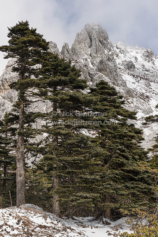 130323-7557 <i>Shika Snow Mountain</i>