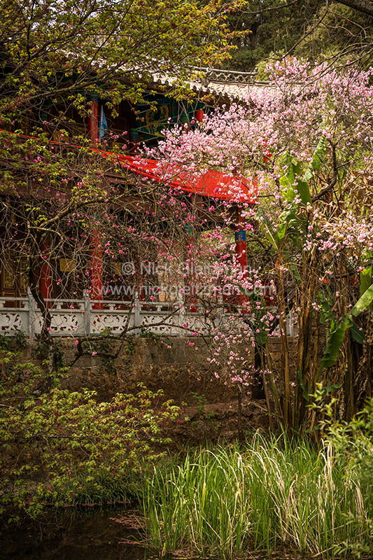 130326-8002 <i>Shuhe Old Town</i>