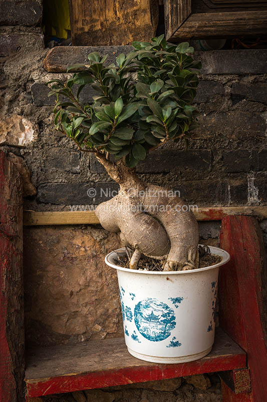 130326-8015 <i>Shuhe Old Town</i>