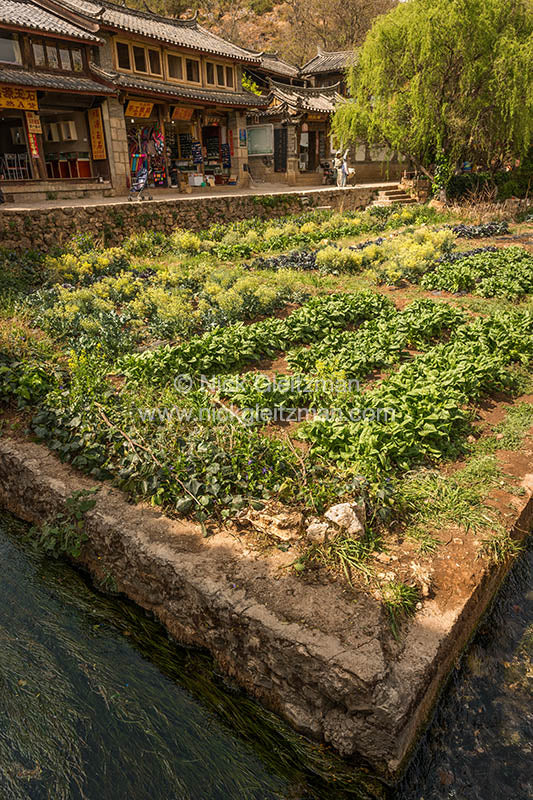 130326-8017 <i>Shuhe Old Town</i>