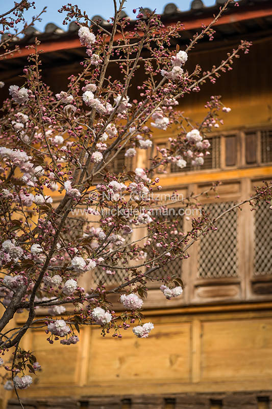 130326-8047 <i>Shuhe Old Town</i>