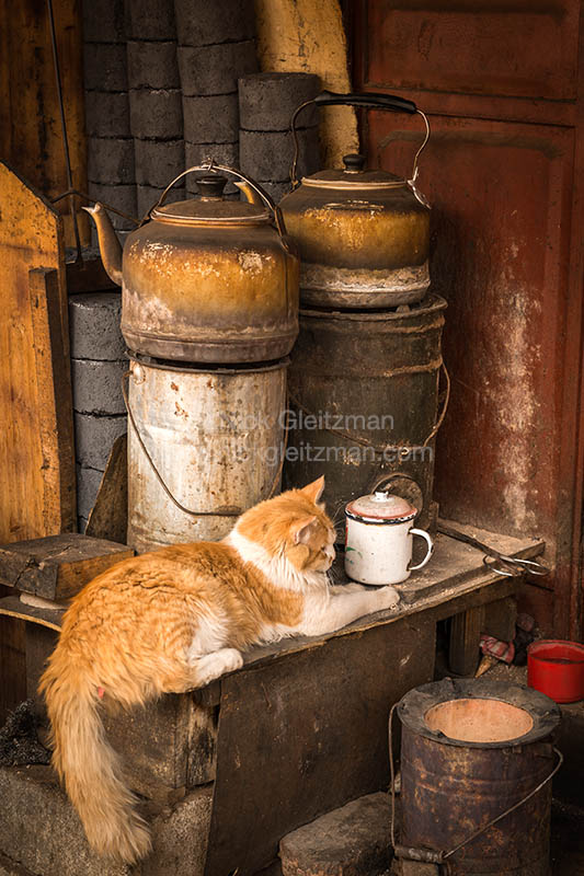 130328-8358 <i>Dayan Old Town</i>