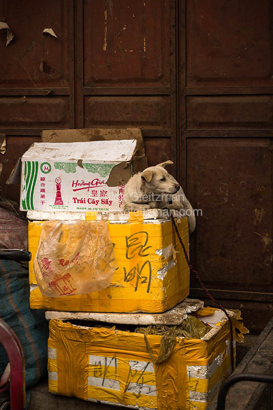 130329-8552 <i>Dayan Old Town</i>