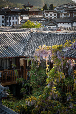 130401-9018 <i>Dayan Old Town</i>