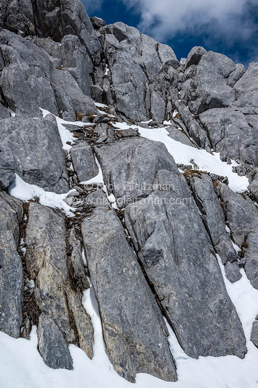 130401-9127 <i>Yulong (Jade Dragon) Snow Mountain</i>