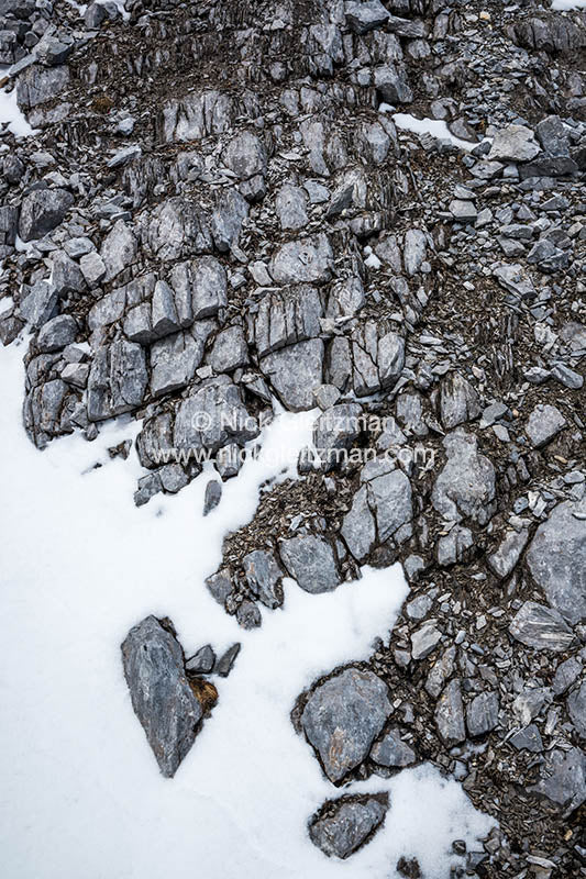 130401-9142 <i>Yulong (Jade Dragon) Snow Mountain</i>