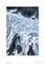 130401-9159 <i>Yulong (Jade Dragon) Snow Mountain</i>