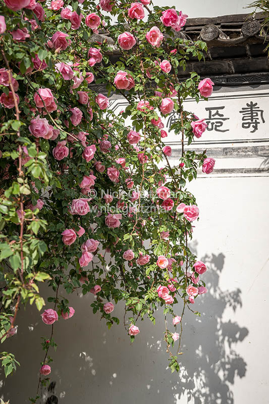 130402-9654 <i>Dayan Old Town</i>