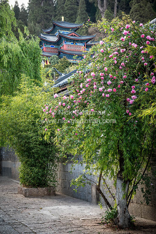 130402-9657 <i>Dayan Old Town</i>