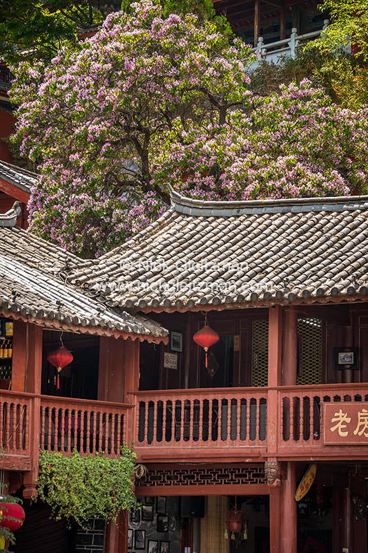 130405-9935 <i>Dayan Old Town</i>