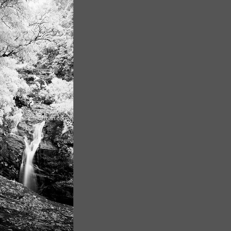 990127-848 <i>Booloumba Falls, QLD</i>