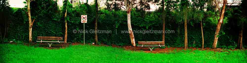 990329-0955 <i>Albert Street</i>